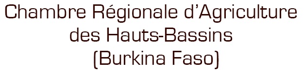 Chambre Régionale d’Agriculture des Hauts-Bassins – (Burkina Faso)