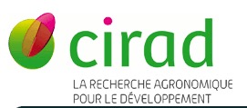 CIRAD–Montpellier